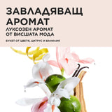Лимитирана подаръчна кутия