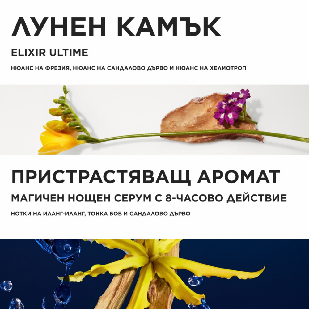 Лимитирана подаръчна кутия