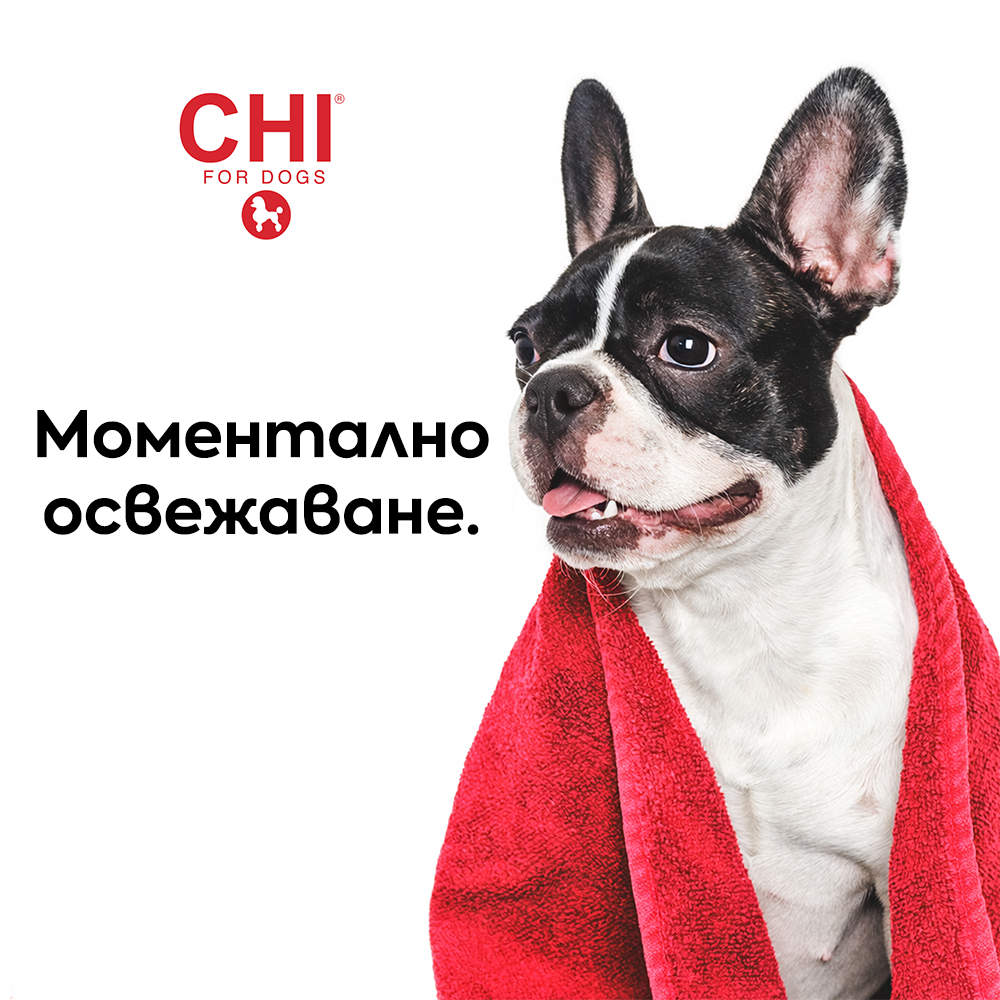 Дезодорираща пяна за кучета без отмиване 237 мл