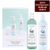 Комплект за мазна коса и скалп с евкалипт