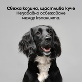 Дезодориращ спрей за кучета без отмиване 237 мл